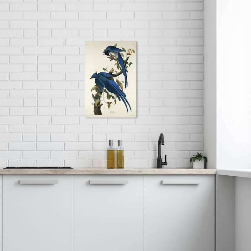 Wynwood Studio Canvas Animals Robert Havell - Columbia Jay Blue and Traditional Wall Art Canvas Print - 24 x 16