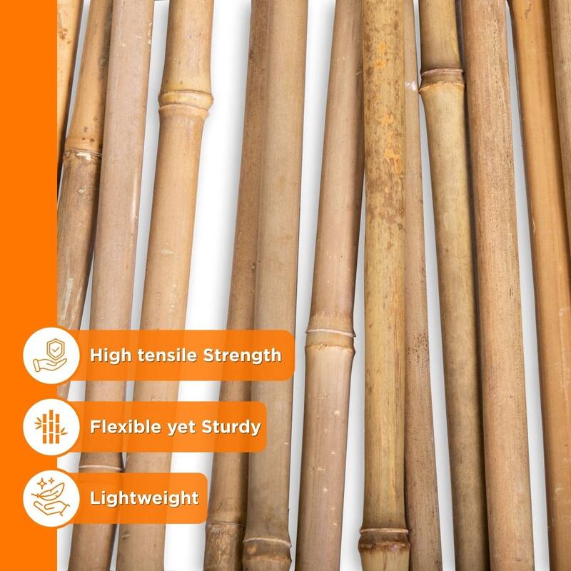 Bamboo Stakes For Gardening Plant Support for Garden Natural (25-Pack)