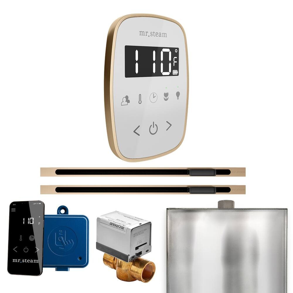 Mr Steam BFXL Butler Flex Max Linear Package Steam Shower Control