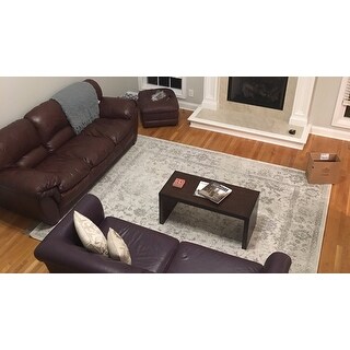 Safavieh Adirondack Dakota Distressed Vintage Boho Oriental Rug