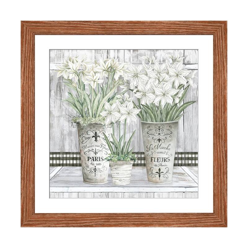 iCanvas "Amaryllis Multi Pots" by Cindy Jacobs - Walnut - 16x16x1