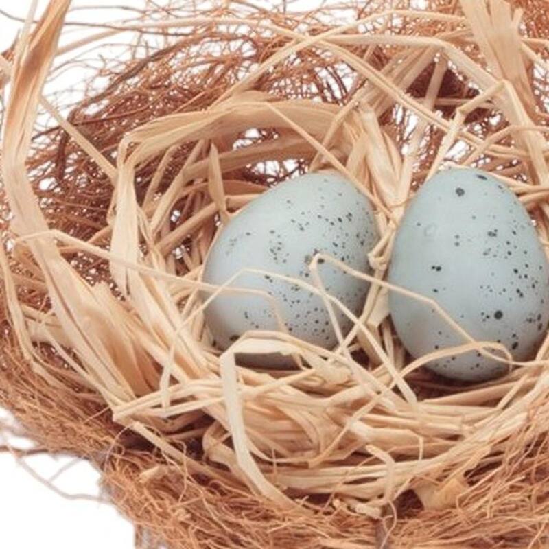 HomeRoots Set of Eight Brown And Blue Decorative Birds Nests With Eggs Sculptures - 2.35 in. x 1.40 in. x 2.45 in.