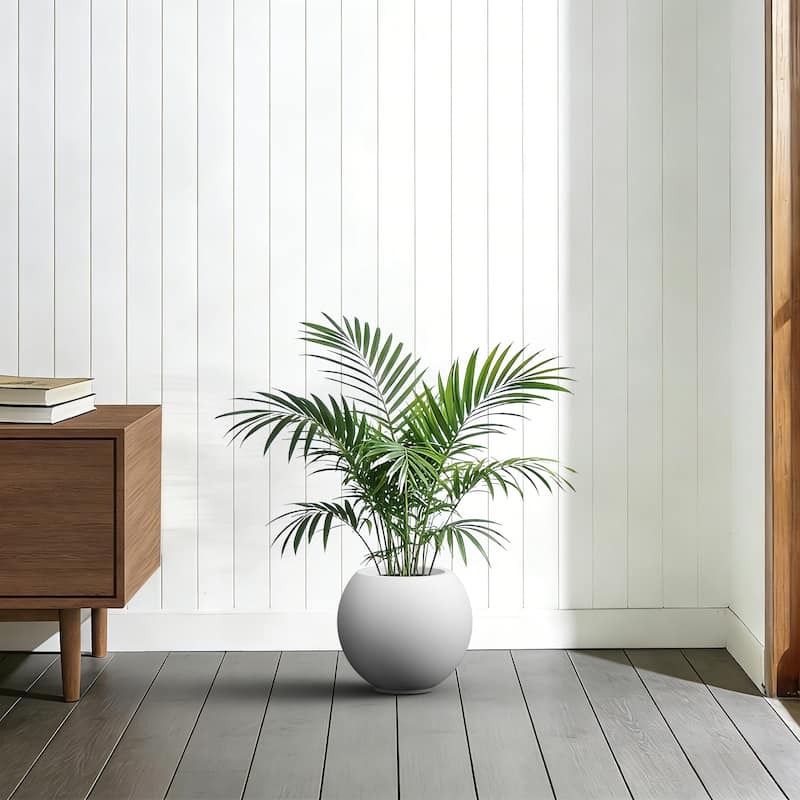 Concrete Round Planter / Pot Indoor & Outdoor