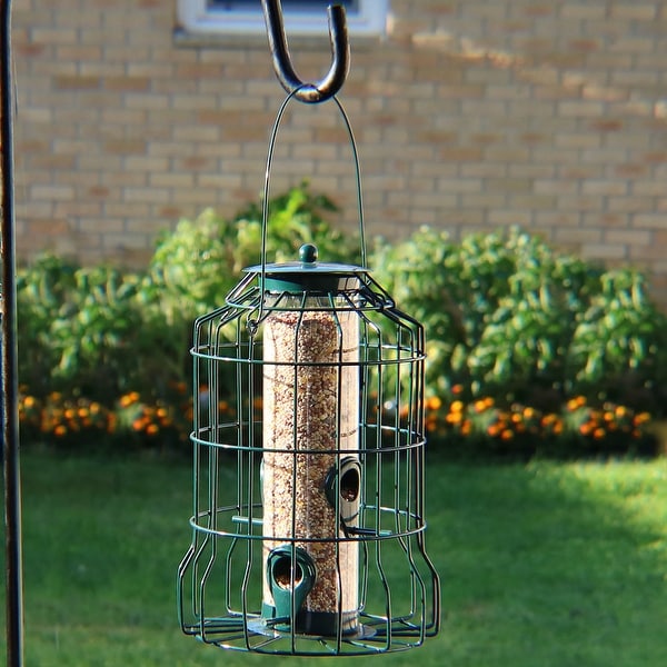 Sunnydaze 10-Inch Green 4-Peg Outdoor Wild Bird Feeder with Steel Surround