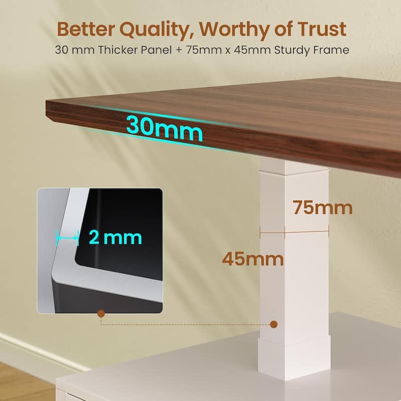 Electric Standing Desk Height Adjustable Computer Desk 3 Drawers Storage Shelves