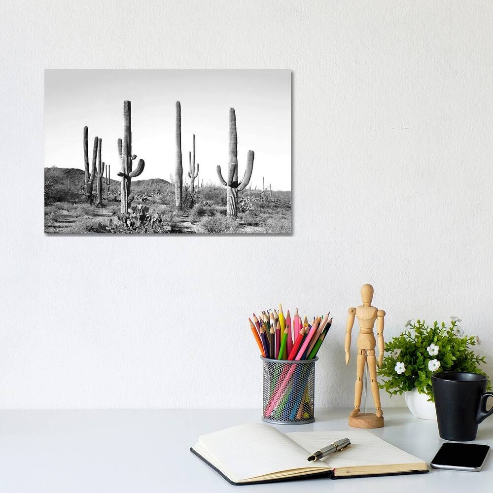 iCanvas "Gray Cactus Land" by Sisi & Seb Canvas Print