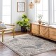 preview thumbnail 1 of 14, Jair Traditional Area Rug Charcoal - Rectangle - 2' 7" x 4' 11"