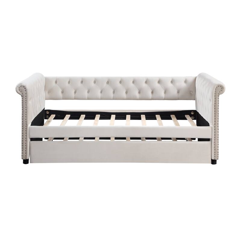 Twin Size Upholstered Velvet Daybed with Trundle and Stylish Round Armrest