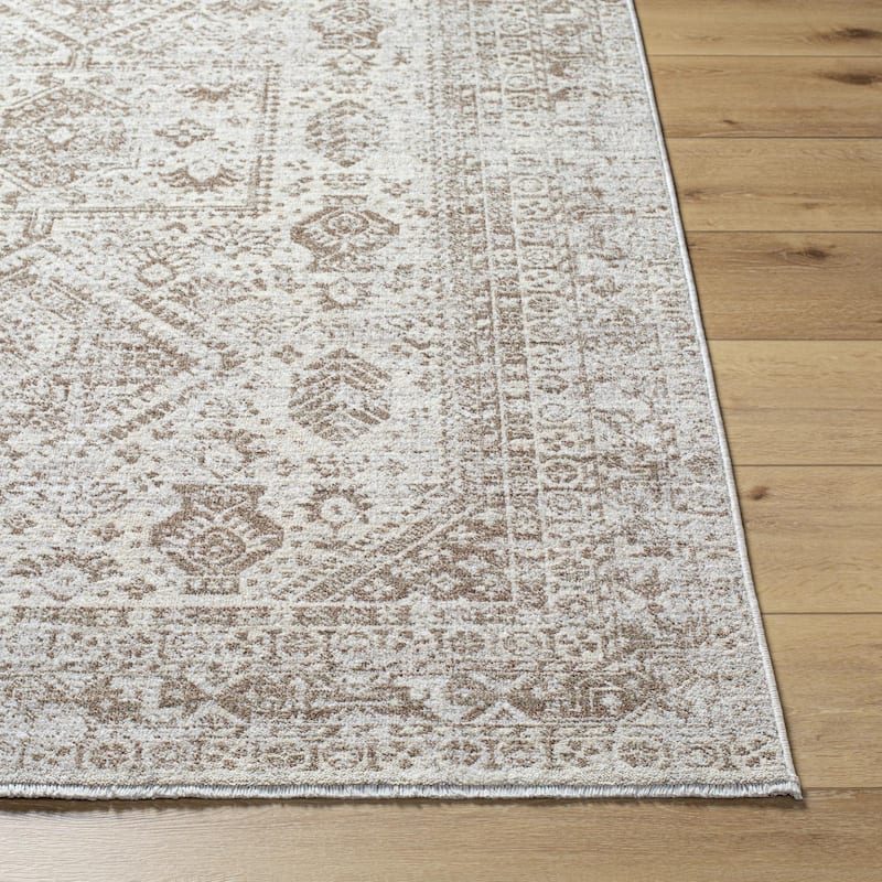 Souza Traditional Medallion Area Rug