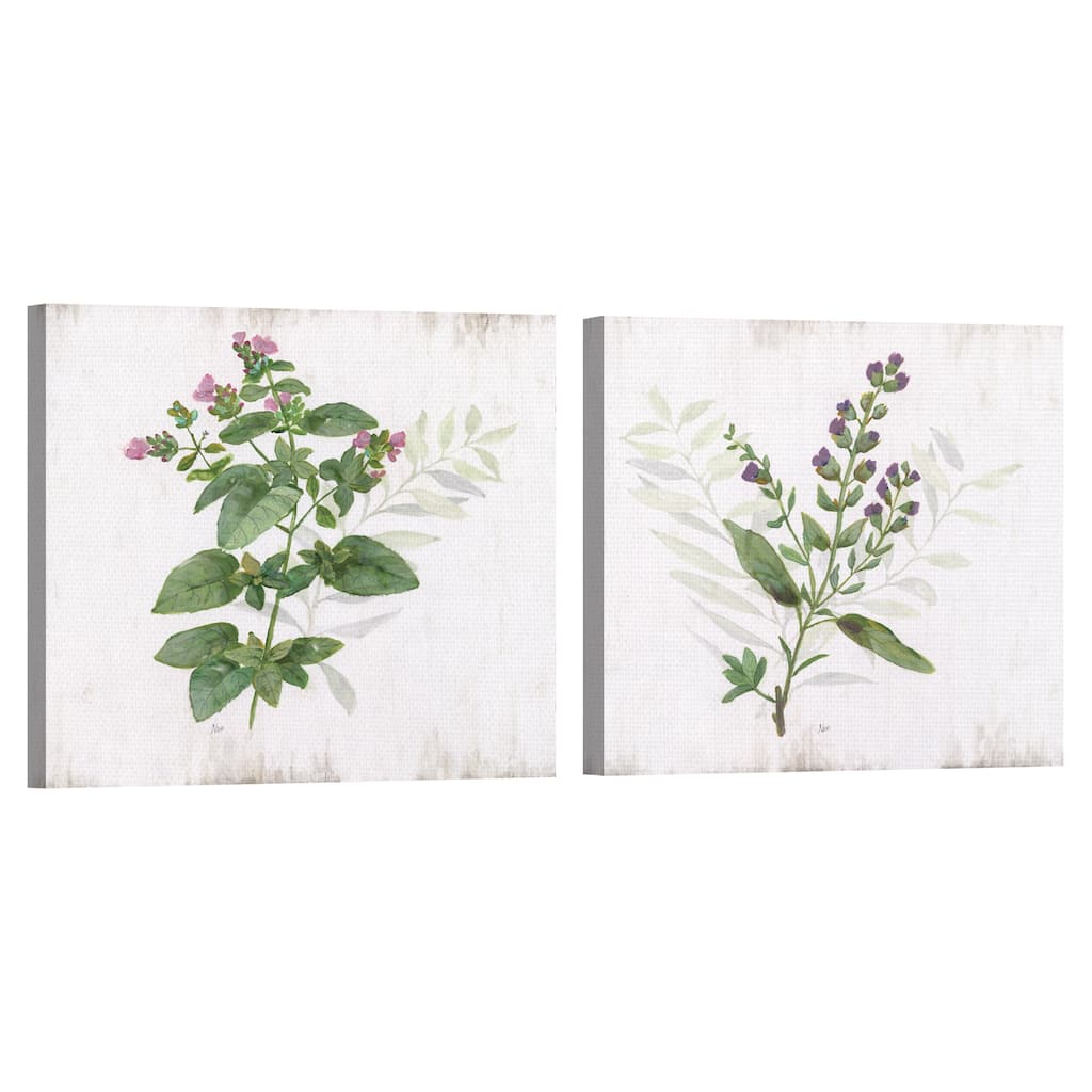 Kitchen Garden I & II by Nan Canvas Art Prints