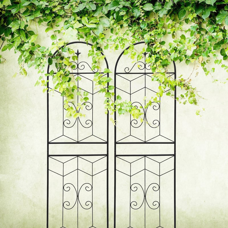2 Pack Metal Garden Trellis 71in x 19.7in Rustproof Trellis