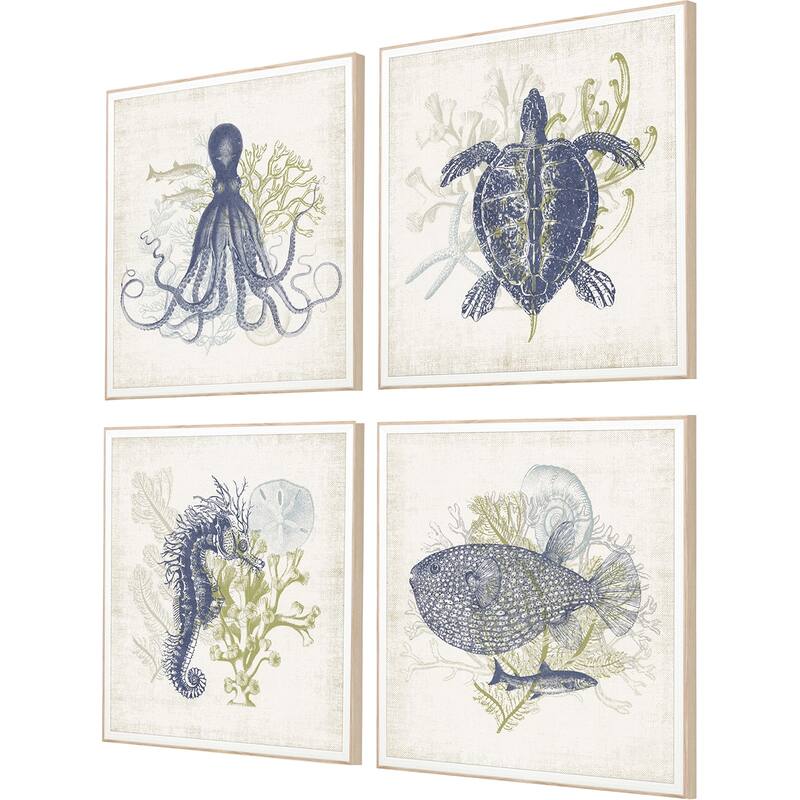 Coastal Ephemera S/4 Framed Art Giclee Under Glass - Blue