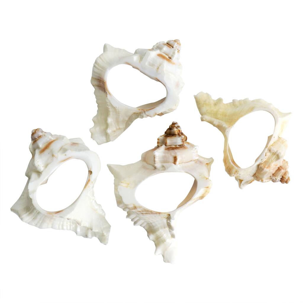 4 Piece Conch Shell Napkin Rings