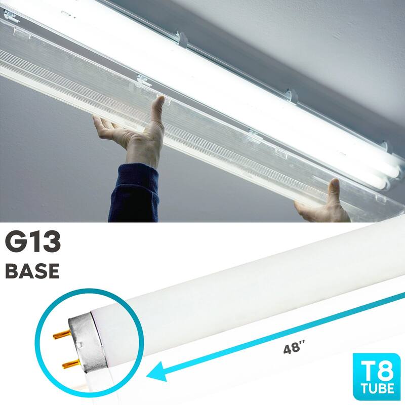 Luxrite 48 Inch T8 Fluorescent Tube Light Bulb 32W 6500K Daylight 2800 Lumens G13 Medium Bi-Pin Base 6-Pack - 6500K (Daylight)
