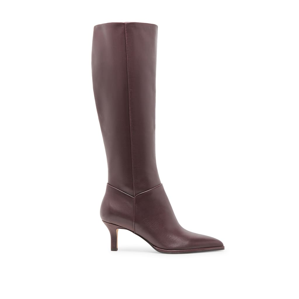 Dolce Vita Women's Aldy Leather Heeled Tall Boot