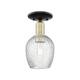 Option Black Antique Brass / Clear Spiral Fluted