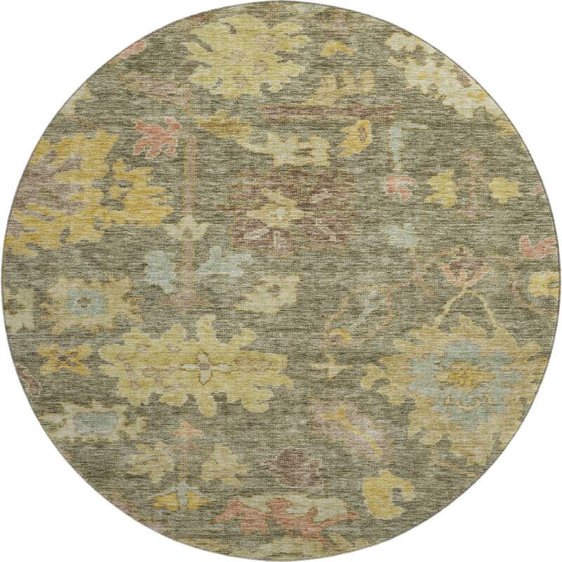 Premium Washable Super Soft Vintage Traditional Mayfield Rug