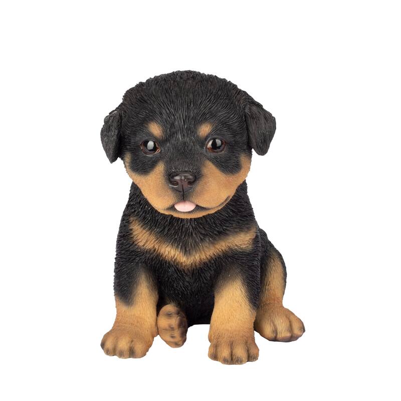 Sitting Rottweiler Puppy Outdoor Garden Statue - 6.25" - Black and Brown