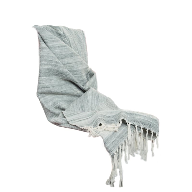 HomeRoots Gray Woven 100% Poly Pet Throw Blanket