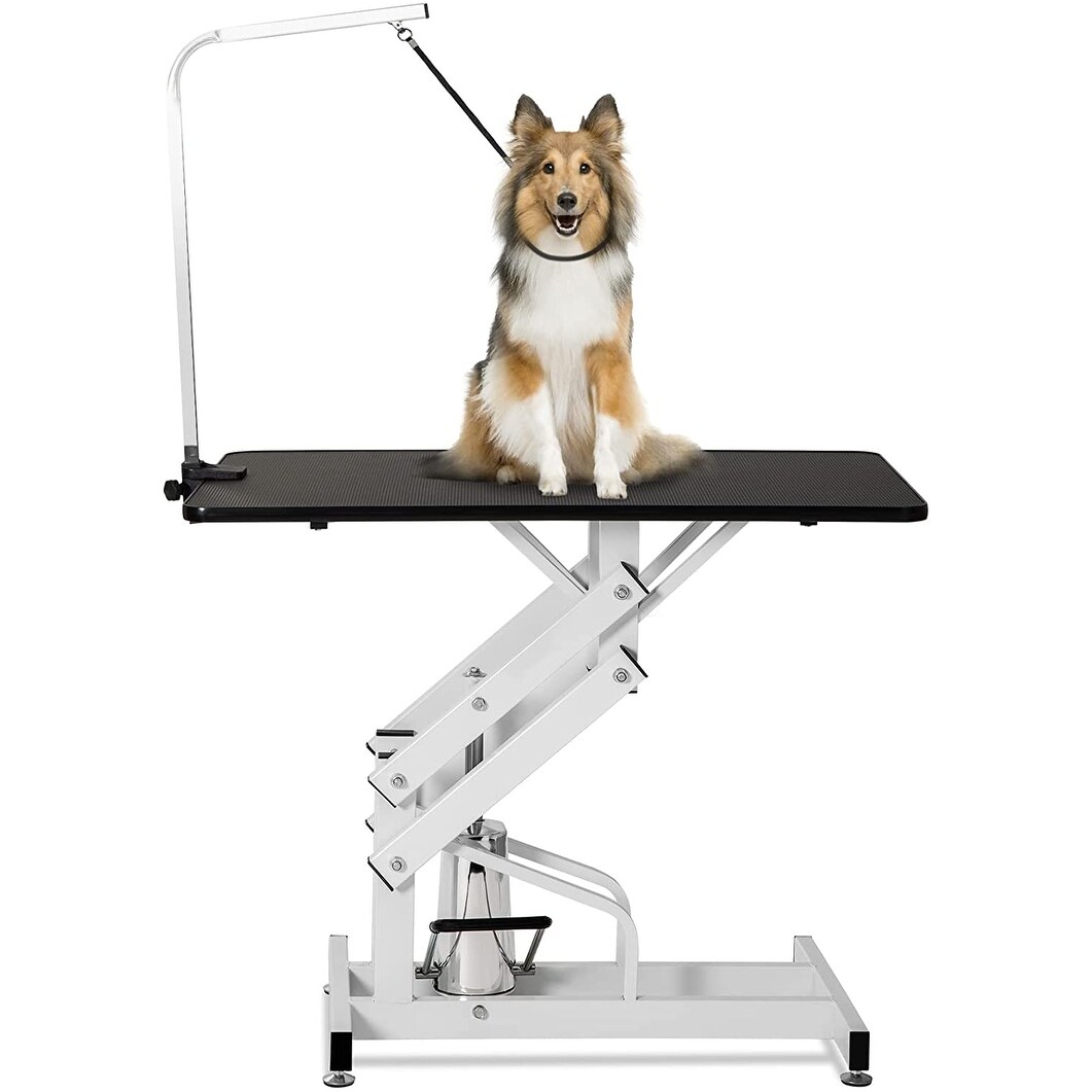 Dog new arrivals grooming noose
