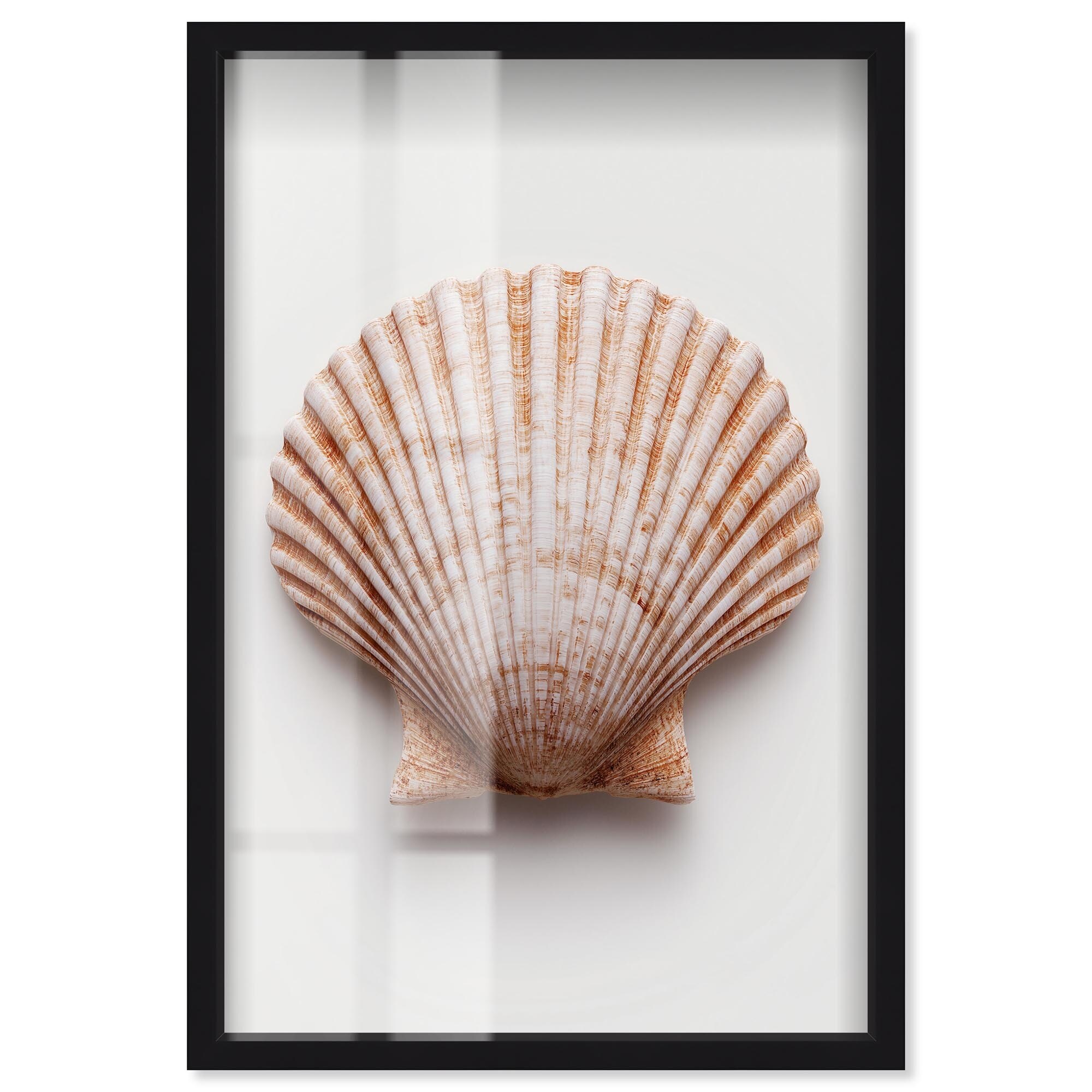 Dune Crest Caress I Coastal Wall Art Shadowbox Print by Art Remedy