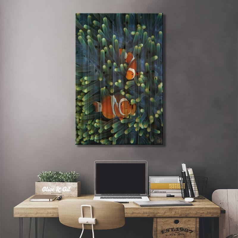 Clown Anemonefish Pair In Sea Anemone Tentacles, Celebes Sea Print On Wood by Hiroya Minakuchi - Multi-Color
