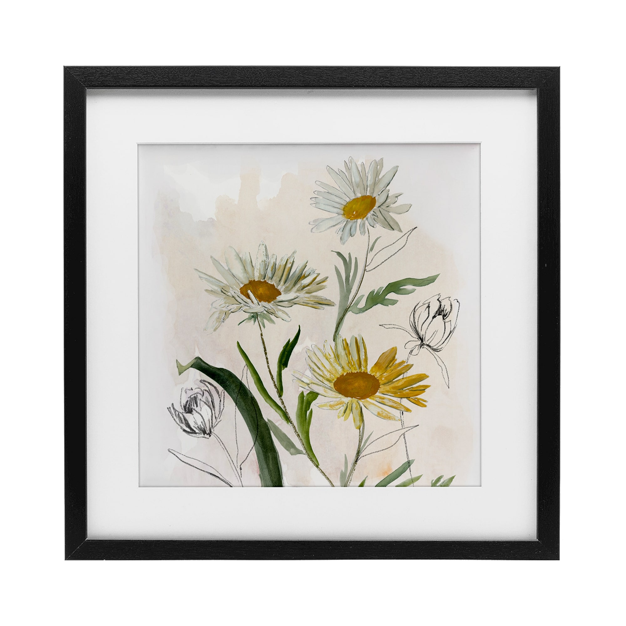 Pure Simplicity Daisies Jacob Q