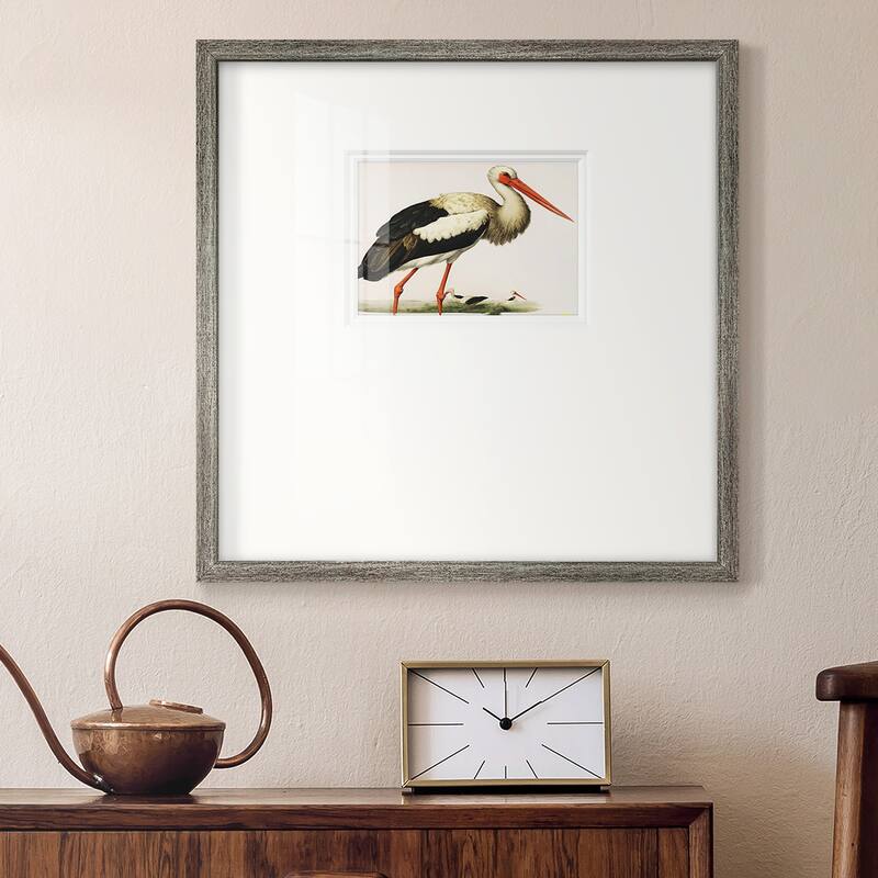 Odd CranePremium Framed Print