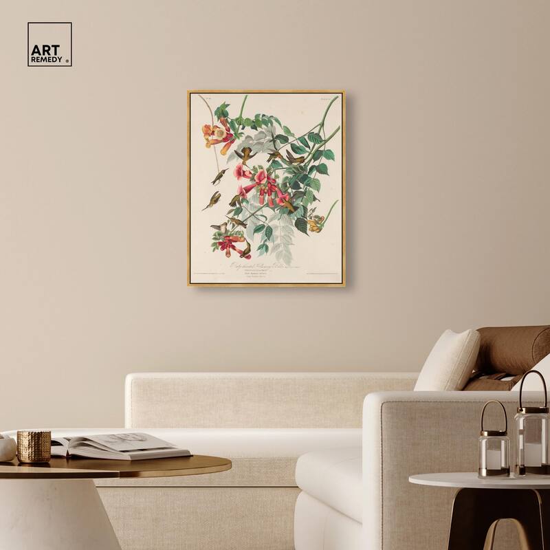 Trochilus Colubris Canvas by Art Remedy