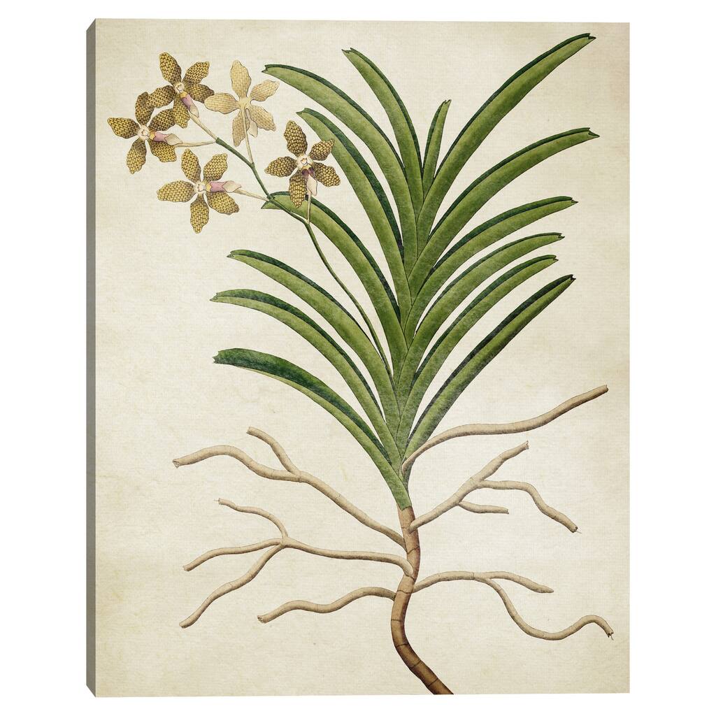 Simple Nature V Texture by Design Lab Canvas Art Print