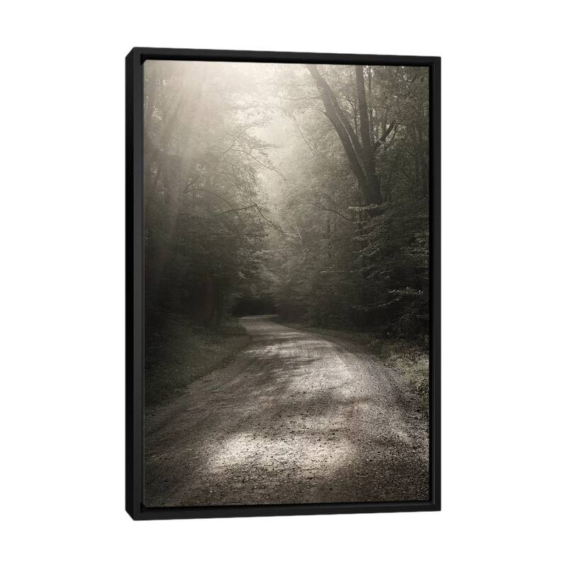 iCanvas "Back Country Road" by Nicholas Bell Photography Framed Canvas Print - Black - 40x26