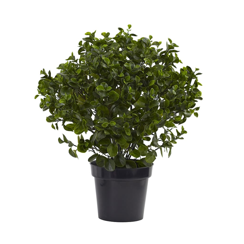 Peperomia Plant 28In - Indoor Outdoor Decorative Foliage - Low Maintenance Houseplant DÃ©cor - 2.33ft.