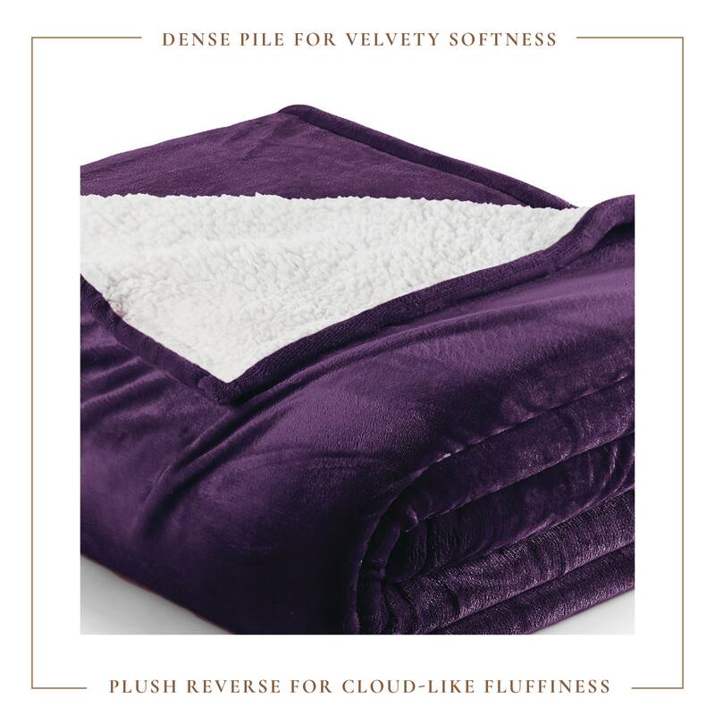 Linery & Co. Velvet Plush Reversible Sherpa Bed Blanket