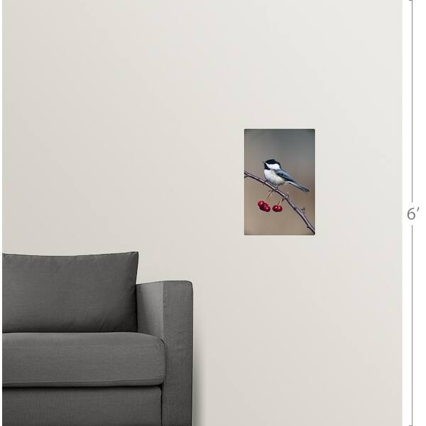 Shop Black Capped Chickadee Bird Perching On Branch With Cherries Michigan Poster Print Overstock 16884885