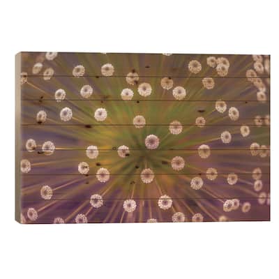 Colours Print On Wood by Wave Faber - Multi-Color