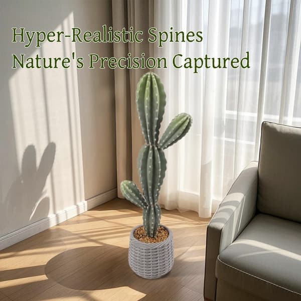 efeu hängend Hedera helix 'Pittsburgh' XXL Ø24 cm, ↕70 cm | Efeu