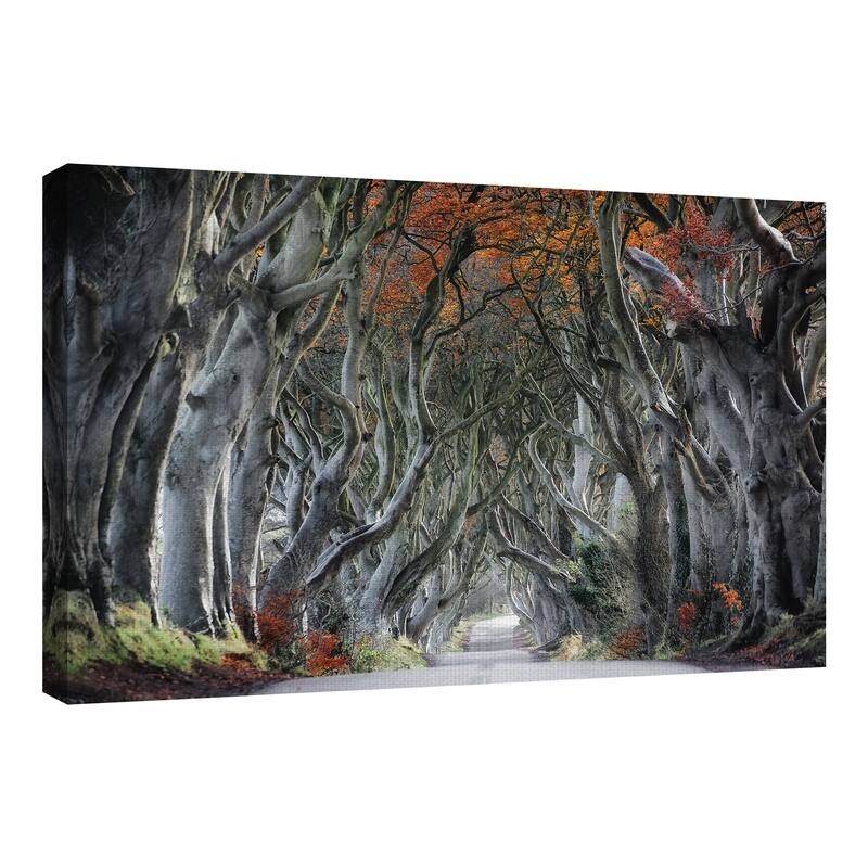 Twisted by Trevor Cole Canvas Art Print