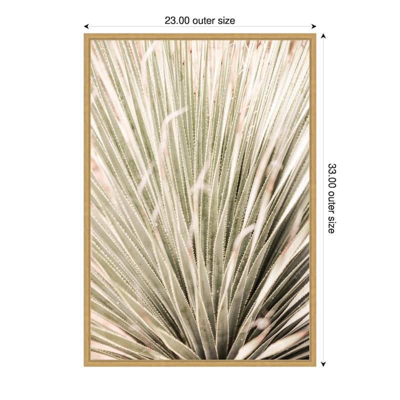 Desert Spoon by Shot by Clint Framed Canvas Wall Art Print - Sylvie Bright Gold - 23 x 33 in