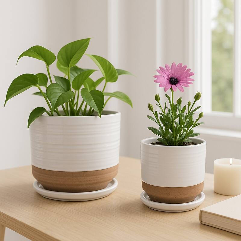 Ceramic Circular Saucer Planters Set of 2 - 6/8 in.