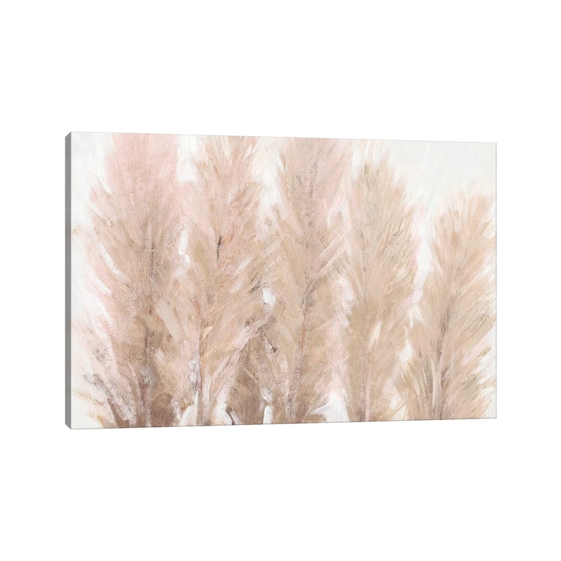 iCanvas "Pampas Grass I" by Tim OToole Canvas Print