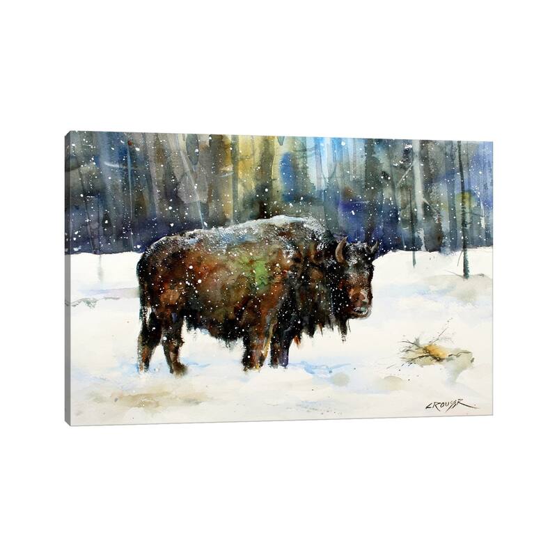 iCanvas "Bison" by Dean Crouser Canvas Print