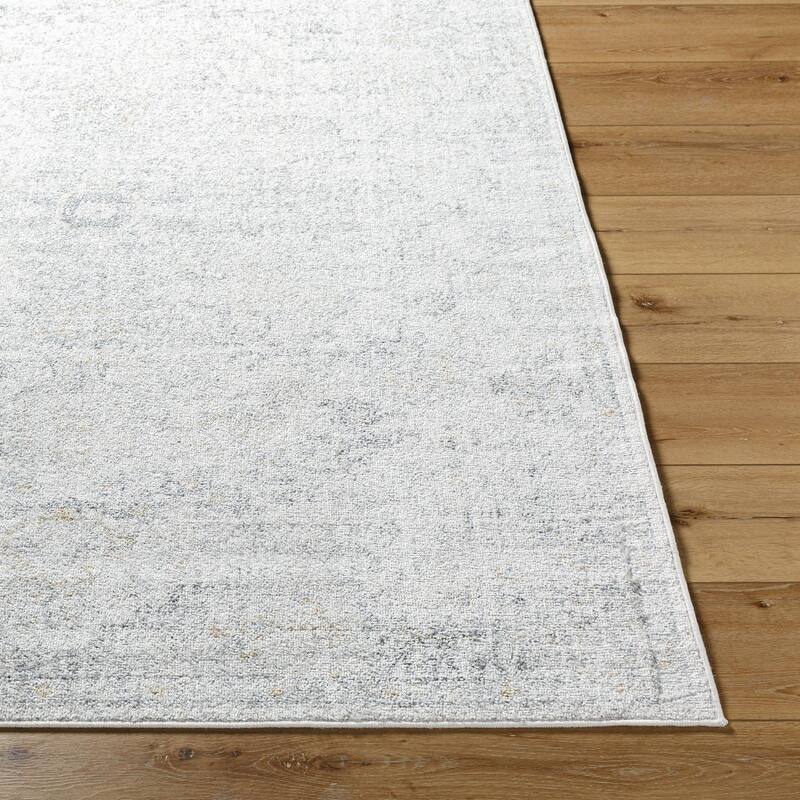 Livabliss Caressa Vintage Boho Area Rug