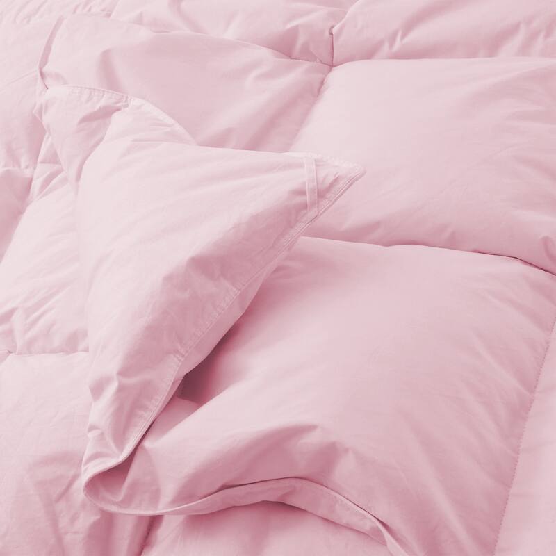 All Season 100% Cotton Goose Feather Down Comforter, Quilted Fluffy Duvet Insert