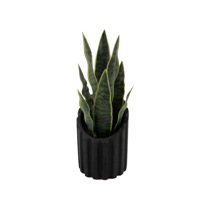 Fake Snake Plant In 4.75" Cement