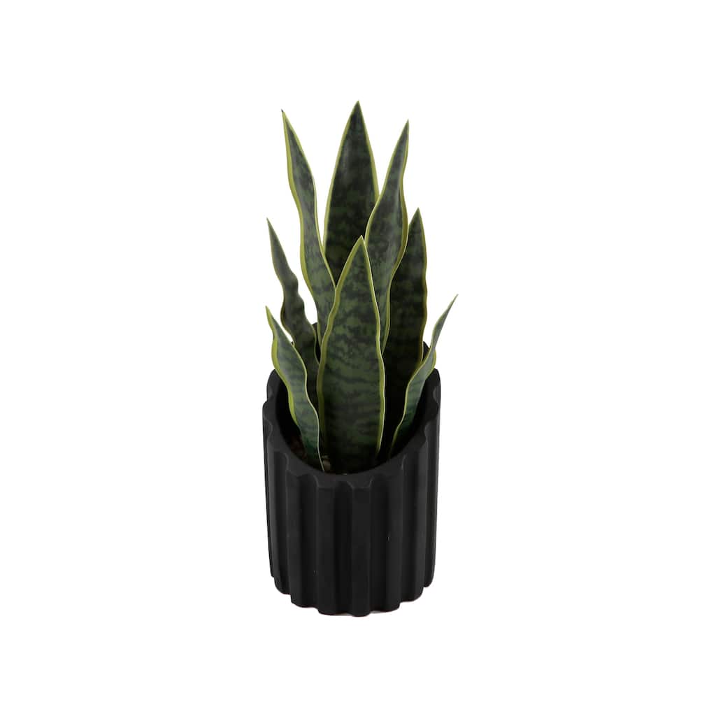 Fake Snake Plant In 4.75" Cement