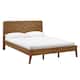 Option Oak