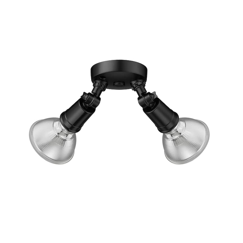 Millennium Lighting 2 Light Flood Light Fixture