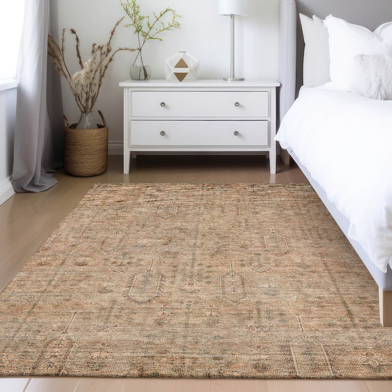 Machine Washable Indoor/ Outdoor Chantille Traditional Distressed Rug