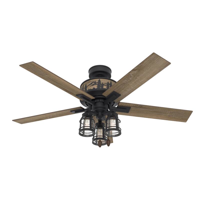 Hunter 52" Mt. Vista Ceiling Fan with LED Light and Pull Chain - Natural Iron
