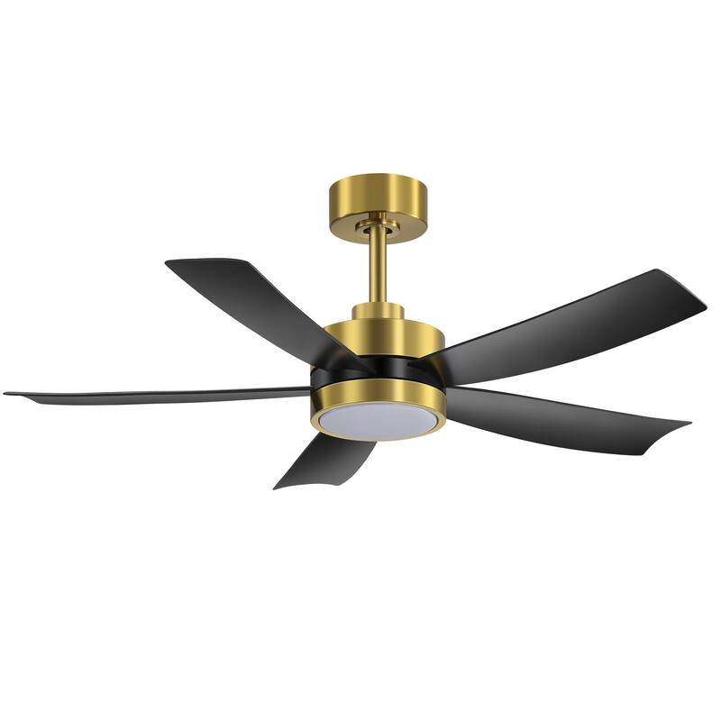 Breezary 65"/52"/42" 5-Blade LED Ceiling Fan with Light Kit and Remote